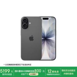 Apple iPhone 17 5G手机 8GB+256GB 黑色