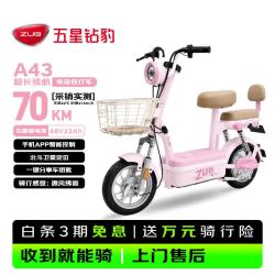 五星钻豹 电动自行车 A43 新国标 长续航 48V22AH石墨烯铅酸
