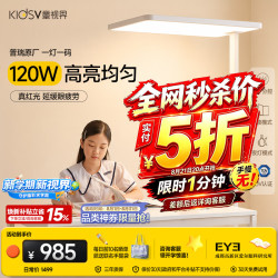 童视界 普瑞红光护眼大路灯 全光谱 120W 落地台灯