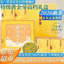 宋一 茶叶礼盒安吉白茶黄金芽绿茶特级2026新茶5罐礼盒装258g