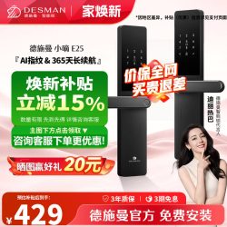 德施曼 E25 C级锁芯 智能门锁