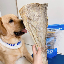 FISHERMANPET 渔夫牧场双味鱼皮组合装富含Omega-3美毛狗狗零食