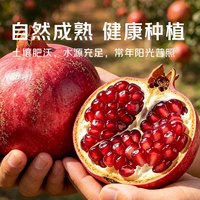 勿语 地标认证四川大凉山会理突尼斯软籽石榴 新鲜红石榴水果现摘现发 3斤精品3-6两爆甜软籽石榴