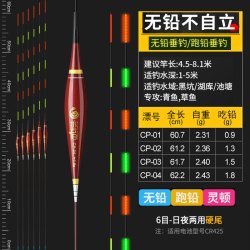 精简 6目硬尾无铅专用漂黑坑钓滑口青鱼跑铅浮漂7目日夜两用尾