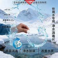 六鹤 应急物资净水片净化生活饮水可直接饮用净化水质