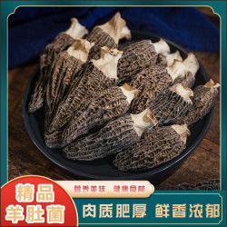 素汐 羊肚菌新鲜大个干货煲汤食材无干燥剂鲜美新货单个6-9cm