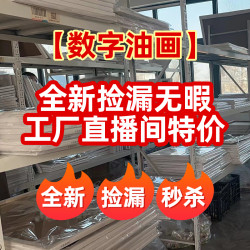 diy数字油画工厂直播间无暇手工丙烯画装饰画