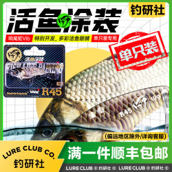 lurefans 单只VIB活鱼涂装R35/R40/R45路亚假饵金属硬饵