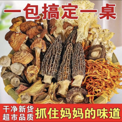 鹿茸菇黄金菇煲汤佳品新菇香菇七彩菌菇包新干货