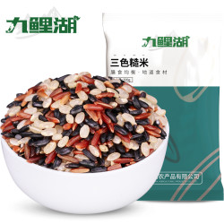 九鲤湖 三色香糯糙米多规格家庭量贩装颗粒密封糙米黑米红米500g