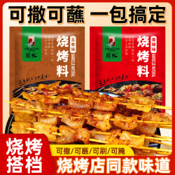 龙椒烧烤调味料空气炸锅蘸料香辣五香味烧烤料