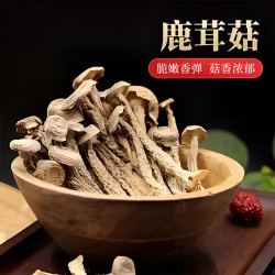 古田高山鹿茸菌干品福建特产新鲜蘑菇菌类脆嫩菇煲汤食材味鲜浓郁