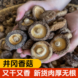 农家香菇干货金钱菇香菇250-500g新鲜烘干冬香菇蘑菇