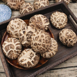 福建屏南甄选高山食用菌菇干货花菇农家肉厚冬菇蘑菇浓郁鲜香