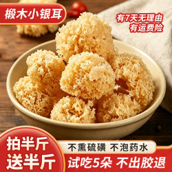 寨吗 椴木小银耳银耳干货50-500g椴木银耳一煮即糯可搭配百合莲子