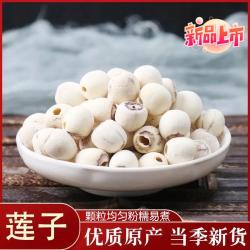 湖南白莲子500g去芯莲子新干货饱满精选特产新鲜袋装清香煲汤产品