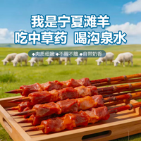 羊小柒 宁夏滩羊烤串肉串原切  3斤源头直发