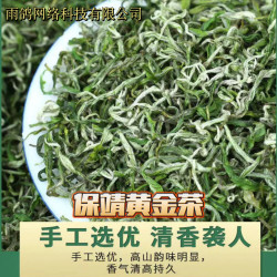 雨鸽高品质采摘保靖黄金茶一牙一叶手工名茶天然绿茶优质