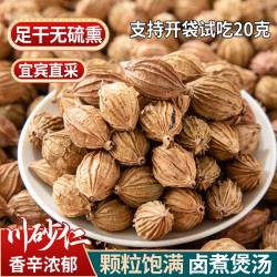 人工甄选 无硫香辛料香砂 川砂仁可打粉 川沙仁 艳山姜 卤料B