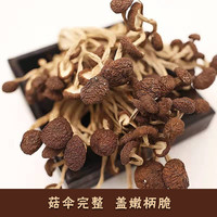 秦宝宝秦岭深山干茶树菇不开伞 无根干菌子干货茶树菇剪脚200g/袋