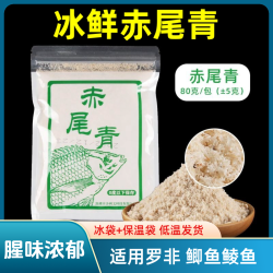 老G 冰鲜赤尾青腥味浓郁钓鱼饵料黑坑野钓鲫鱼土鲮罗非战神赤尾青