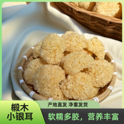 古田椴木小银耳新鲜烘干煮红枣雪梨银耳羹软糯出胶银耳干货