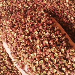 农家花椒炖汤煲汤炒菜吃
