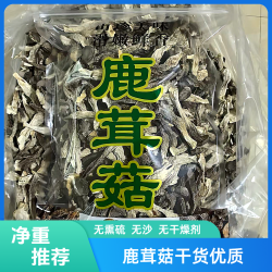 高山甄选鹿茸菇干货福建特产鹿茸菇脆脆菇煲汤炒菜营养健康鹿茸菇