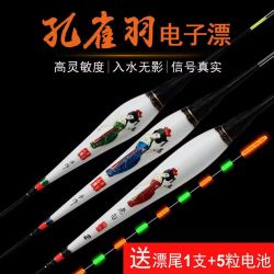 高灵敏黑坑夜钓浮漂超长夜光浮漂600夜光漂孔雀羽浮漂孔雀羽夜光