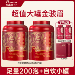 万山红 茶业金骏眉蜜香红茶特级茶叶大份量独立小包400g（100包）