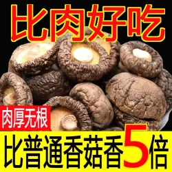 泌阳人工精选香菇干货新货商用批发干香菇蘑菇冬菇菌子
