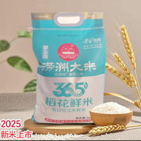涝洲稻花鲜米5kg长粒大米松花江水灌溉 口感好