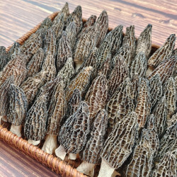 羊肚菌中个，小个100g ／200g ／250g方便