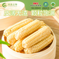 彩滇云物健康甜糯拇指小玉米云南西双版纳品牌营养香甜软糯1.5kg