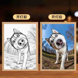 来图定制灯光画桌面摆件周边宿舍氛围灯led小夜灯房间相框