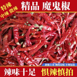 当季新辣椒巨辣魔鬼椒特香特辣辣椒段辣椒粉产地直发