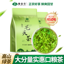 豫春 尖新茶信阳毛尖绿茶雨前手工毛尖浓香型信阳茶叶耐泡型毛尖茶