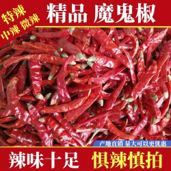 当季新干辣椒巨辣魔鬼椒特香特辣辣椒段辣椒粉产地直发