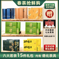 强韵 六大茗茶丨黄金芽+龙井+碧螺春+普洱+大红袍+肉桂到手14条+茶具