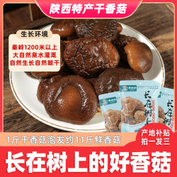 陕西特产深山椴木厚肉香菇150g/袋 干香菇