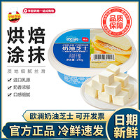 展艺 欧澜奶油芝士块干乳酪芝士巴斯克蛋糕奶酪馅料家用烘焙240g