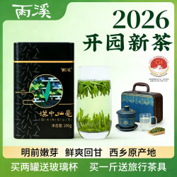 明前小芽高山绿茶汉中仙毫手工采摘茶叶西乡原产