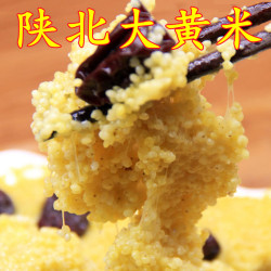 山里夫妻陕北大黄米  软黄米糯米 包粽子米