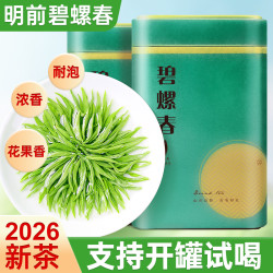 以沫江湖 2026新茶正宗苏州碧螺春B1绿茶口粮茶自己喝浓香耐泡老茶客正宗茶