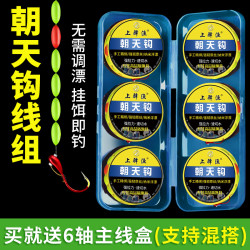 七星漂朝天钩线组传统钓成品主线全套绑好钓鱼线挂饵即钓套装台钓