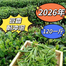 2026年新茶，日照绿茶，清香型，豆香味。