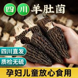 （霞姐宠粉）5-8公分四川高山干羊肚菌美味无硫鲜味十足煲汤好食材