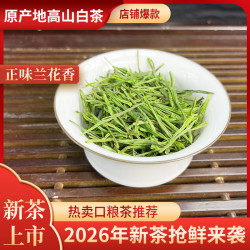 2026年新茶原产地安吉早春高山白茶兰花香口粮茶