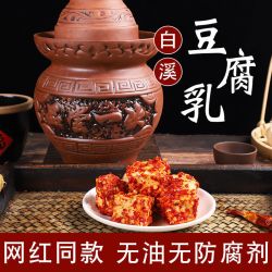 老彪 湖南特产白溪霉豆腐乳农家无油开胃下饭850克