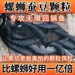 颗粒界扛把子新款大物打窝青鱼蚕豆颗粒皮筋挂钩饵料黑坑专用窝料